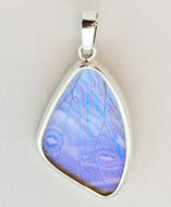 Butterfly Wing Pearl Blue Morpho Pendant Medium Size
