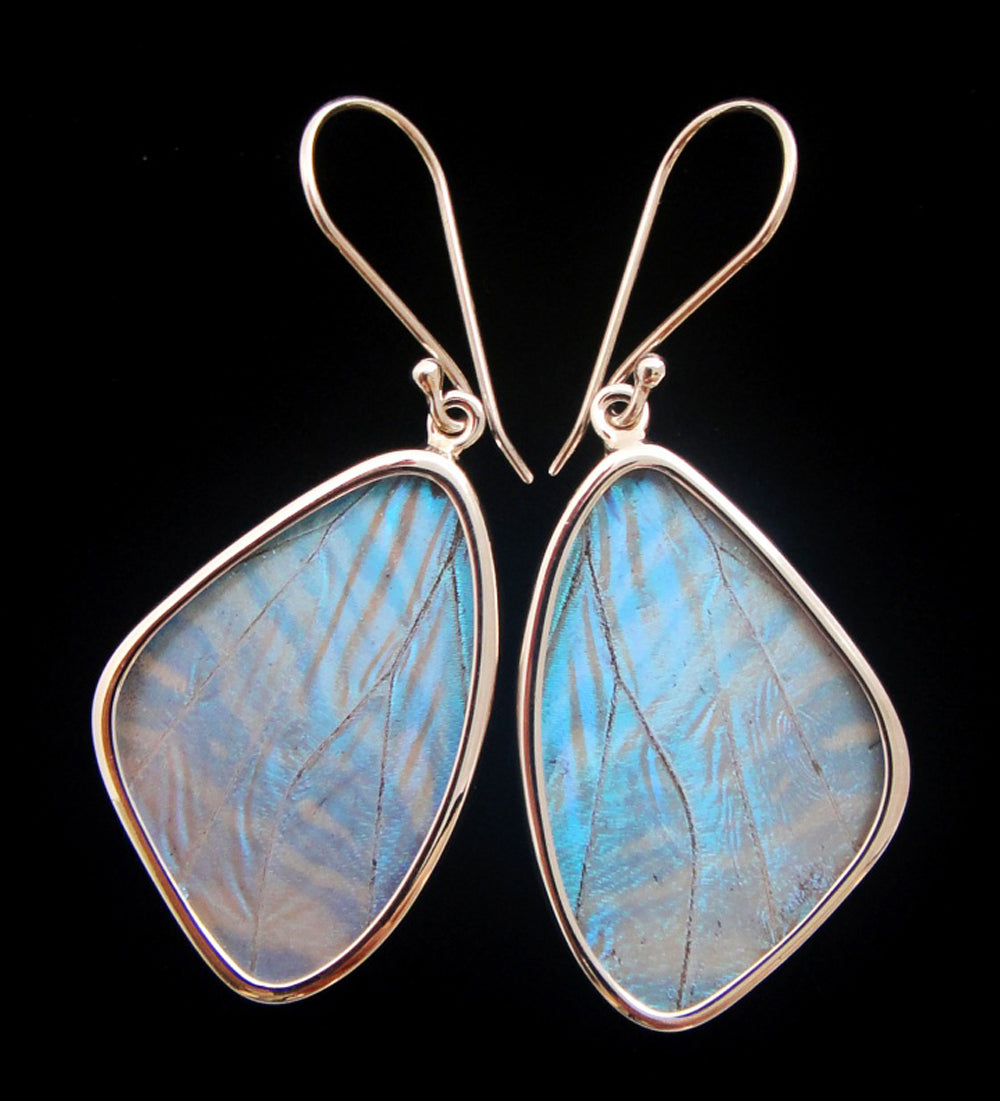Pearl Blue Morpho Butterfly Earrings medium size