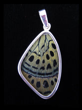 Load image into Gallery viewer, Peacock Red and Green Butterfly Pendant Medium Size