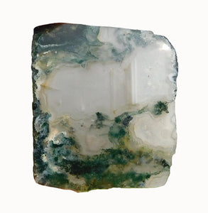 Green Moss Agate Specimen Slice Polished on One Side