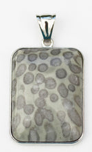 Load image into Gallery viewer, Nipoma Sage Coral Fossil Pendant Oblong-Shape