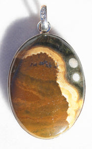 Ocean Jasper Pendant in Silver Setting. Talk to the Animals in Physical and Spirt Planes