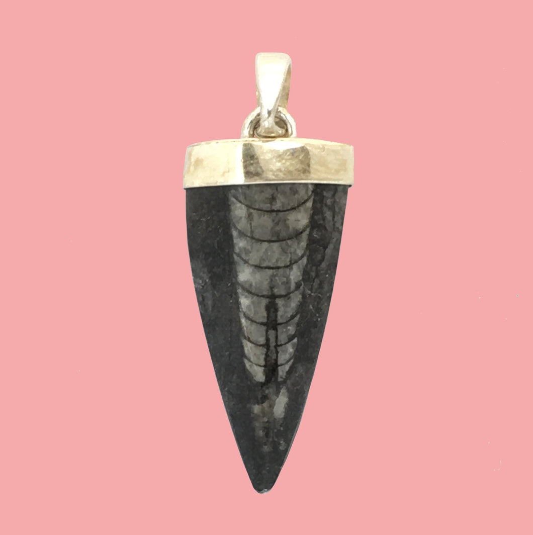 Orthoceras Fossil Shell Pendant