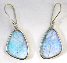 Load image into Gallery viewer, Butterfly Wing Pearl Blue Morpho Butterfly Earrings in size small