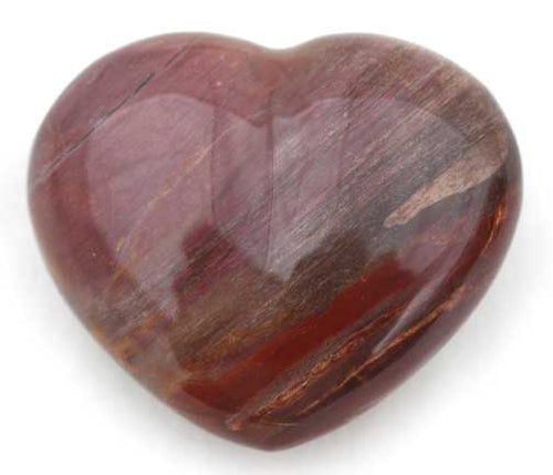 Petrified Wood Heart Crystal