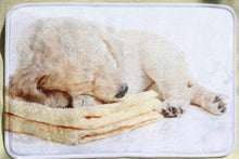 Load image into Gallery viewer, Cute Bath Mat of Golden Retriever Puppy