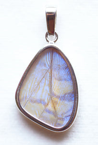 Pearl Blue Morpho Butterfly Pendant in size Small