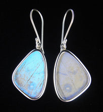 Load image into Gallery viewer, Butterfly Wing Pearl Blue Morpho Butterfly Earrings in size small