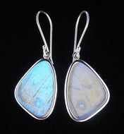 Butterfly Wing Pearl Blue Morpho Butterfly Earrings in size small