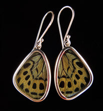 Load image into Gallery viewer, Green Butterfly Earrings in Small