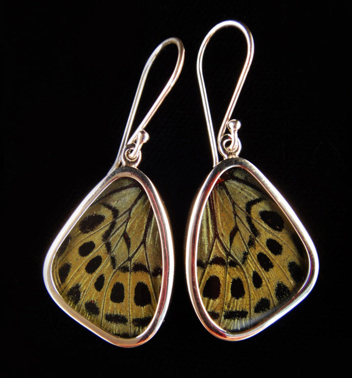 Green Butterfly Earrings in Small