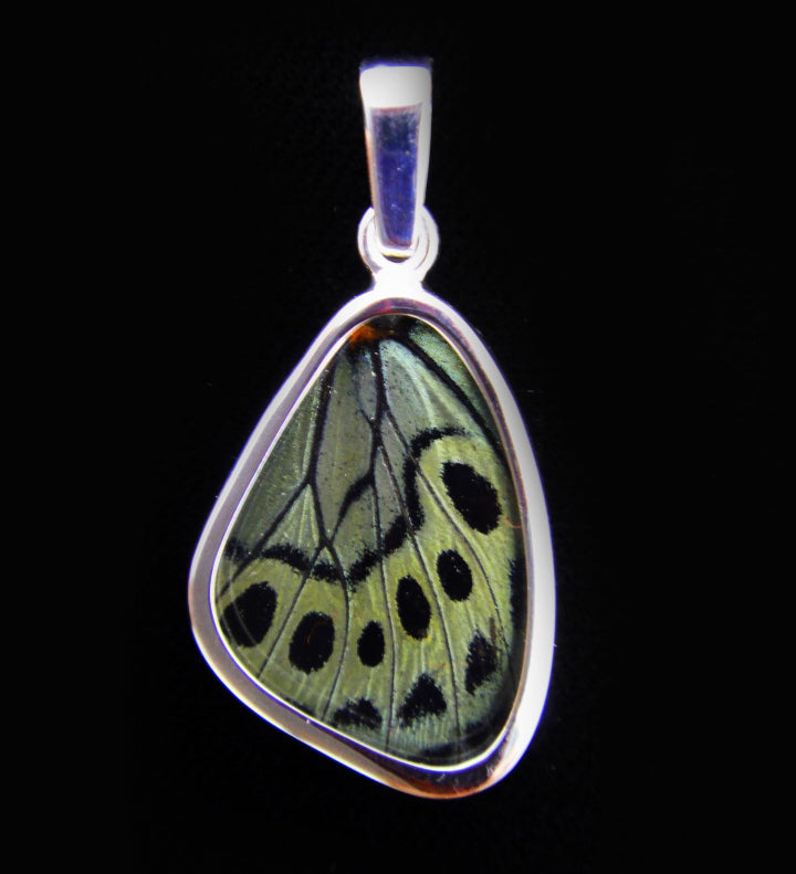 Butterfly Wing Pendant Peacock Butterfly in Small