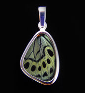 Butterfly Wing Pendant Peacock Butterfly Size Small