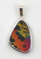 Sunset Moth Butterfly Wing Pendant Small Size