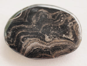 Fossilized Algae aka Stromatolite Palm Stone - The Crystal of Spiritual Leaders