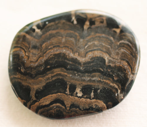 Fossilized Algae aka Stromatolite Palm Stone - The Crystal of Spiritual Leaders