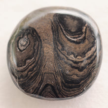 Load image into Gallery viewer, Fossilized Algae aka Stromatolite Palm Stone - The Crystal of Spiritual Leaders