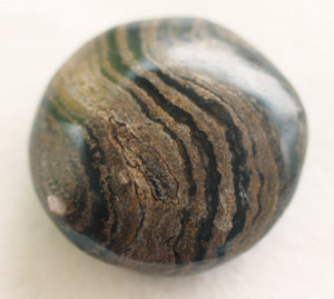 Fossilized Algae aka Stromatolite Palm Stone - The Crystal of Spiritual Leaders