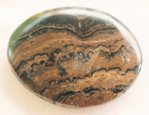 Fossilized Algae aka Stromatolite Palm Stone - The Crystal of Spiritual Leaders