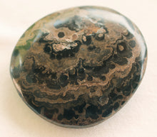 Load image into Gallery viewer, Fossilized Algae aka Stromatolite Palm Stone - The Crystal of Spiritual Leaders
