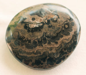 Fossilized Algae aka Stromatolite Palm Stone - The Crystal of Spiritual Leaders