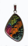 Sunset Moth Butterfly Wing Pendant size medium