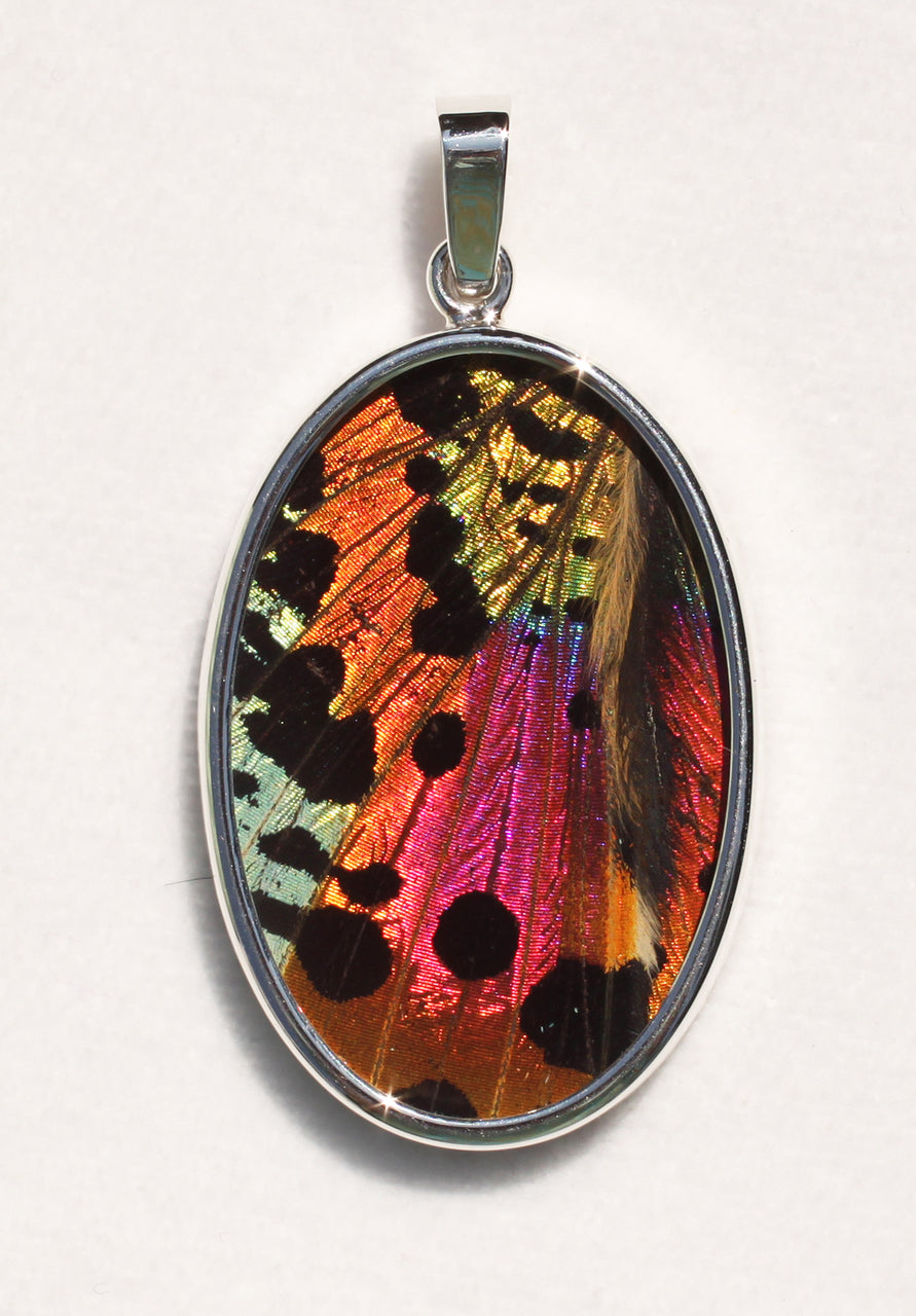 Sunset Moth Butterfly Wing Pendant Large Oval
