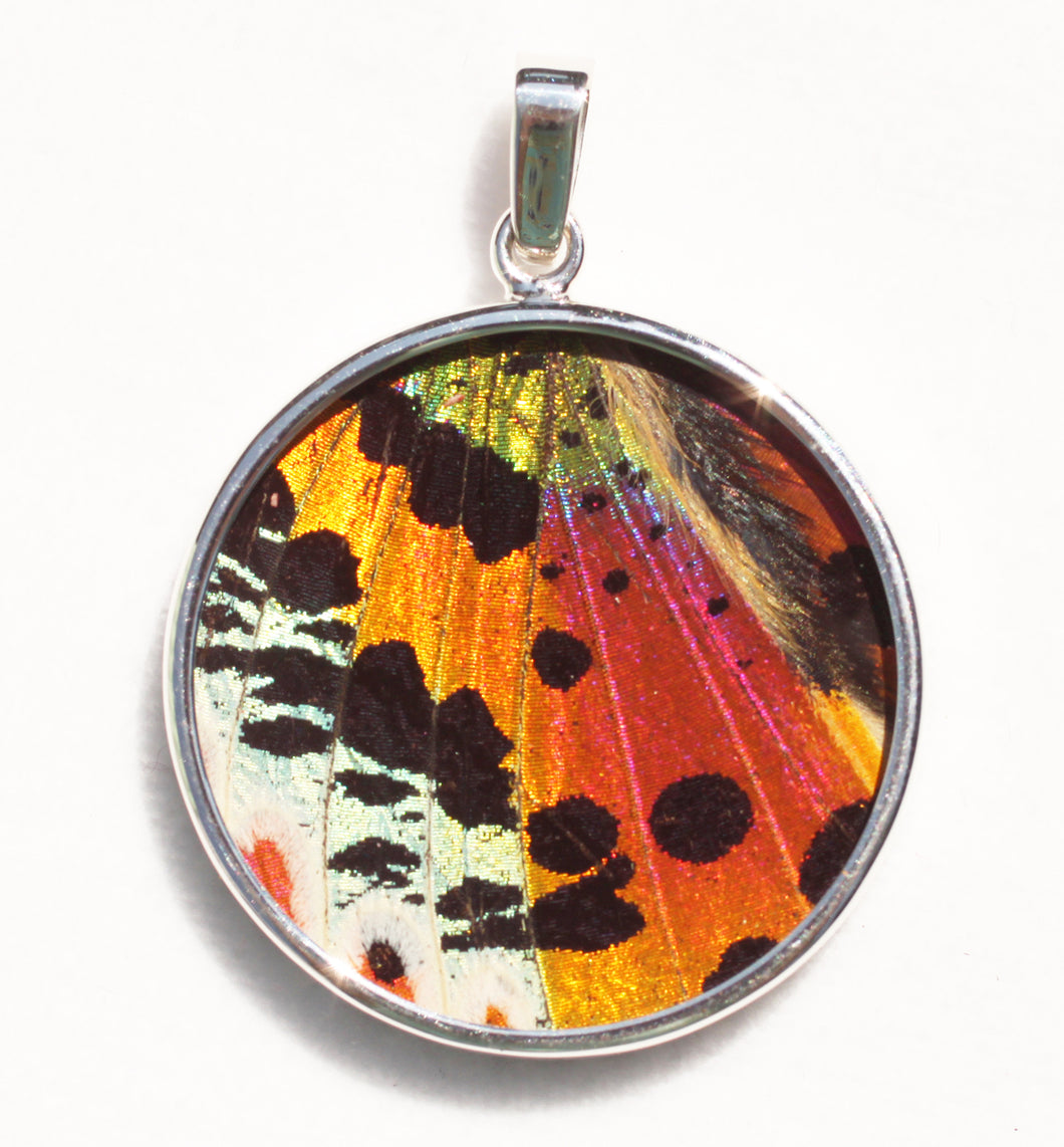 Sunset Moth Butterfly Wing Pendant Large Round