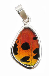 Sunset Moth Butterfly Wing Pendant Extra Small Size