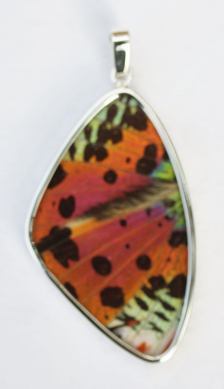 Sunset Moth Butterfly Wing Pendant XL