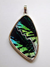 Load image into Gallery viewer, Butterfly Wing Pendant Green Banded Urania Leilus Moth XL
