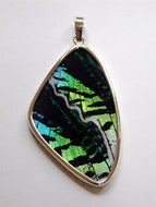 Butterfly Wing Pendant Green Banded Urania Leilus Moth XL