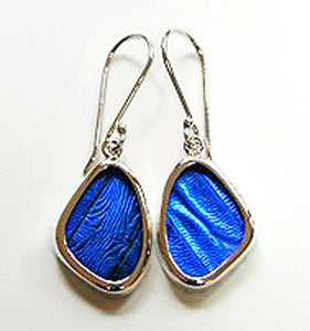 Blue Morpho Butterfly Earrings in Extra Small