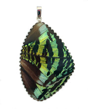 Load image into Gallery viewer, Butterfly Wing Pendant Green Banded Urania Leilus XXL