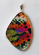 Sunset Moth Butterfly Wing Pendant XXL
