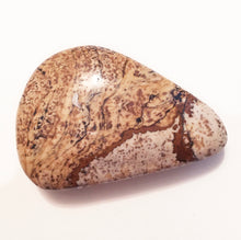 Load image into Gallery viewer, African Queen Picture Jasper Palm Stone