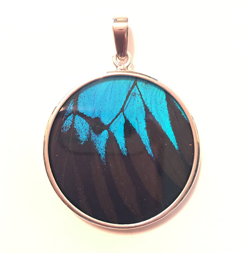 Blue Swallowtail Butterfly Pendant in large round