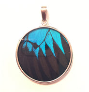 Blue Swallowtail Butterfly Pendant in large round