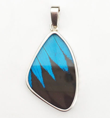 Black and Blue Swallowtail Butterfly Pendant in Medium Size