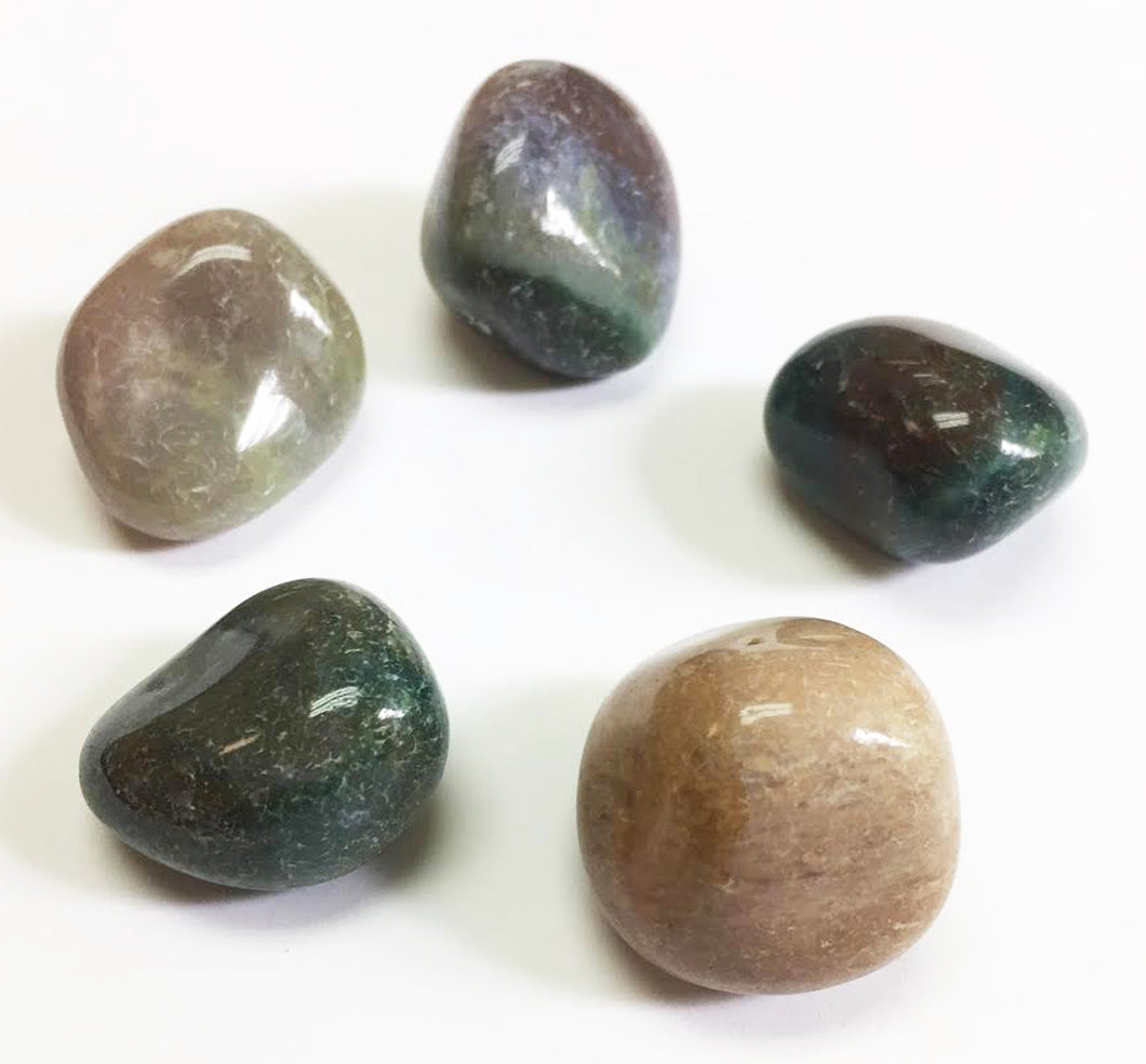 Bloodstone in a quarter pound lot natural tumbled stones
