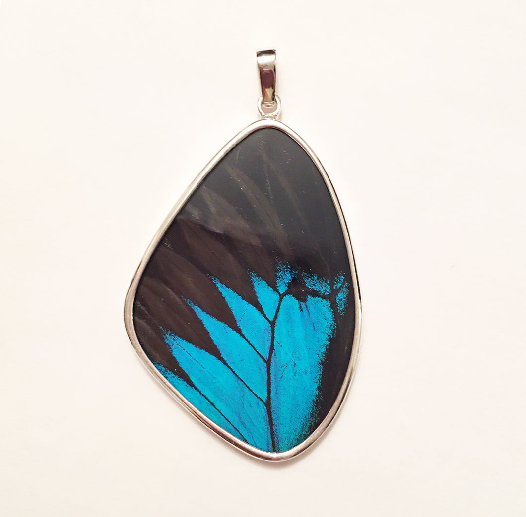 Blue Swallowtail Butterfly Pendant in XXL