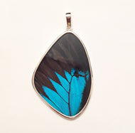 Blue Swallowtail Butterfly Pendant in XXL