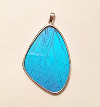 Load image into Gallery viewer, Butterfly Wing Blue Morpho Silver Pendant XXL