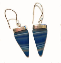 Load image into Gallery viewer, Botswana Agate Earrings so shiny and fun!