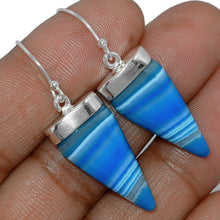 Load image into Gallery viewer, Botswana Agate Earrings so shiny and fun!