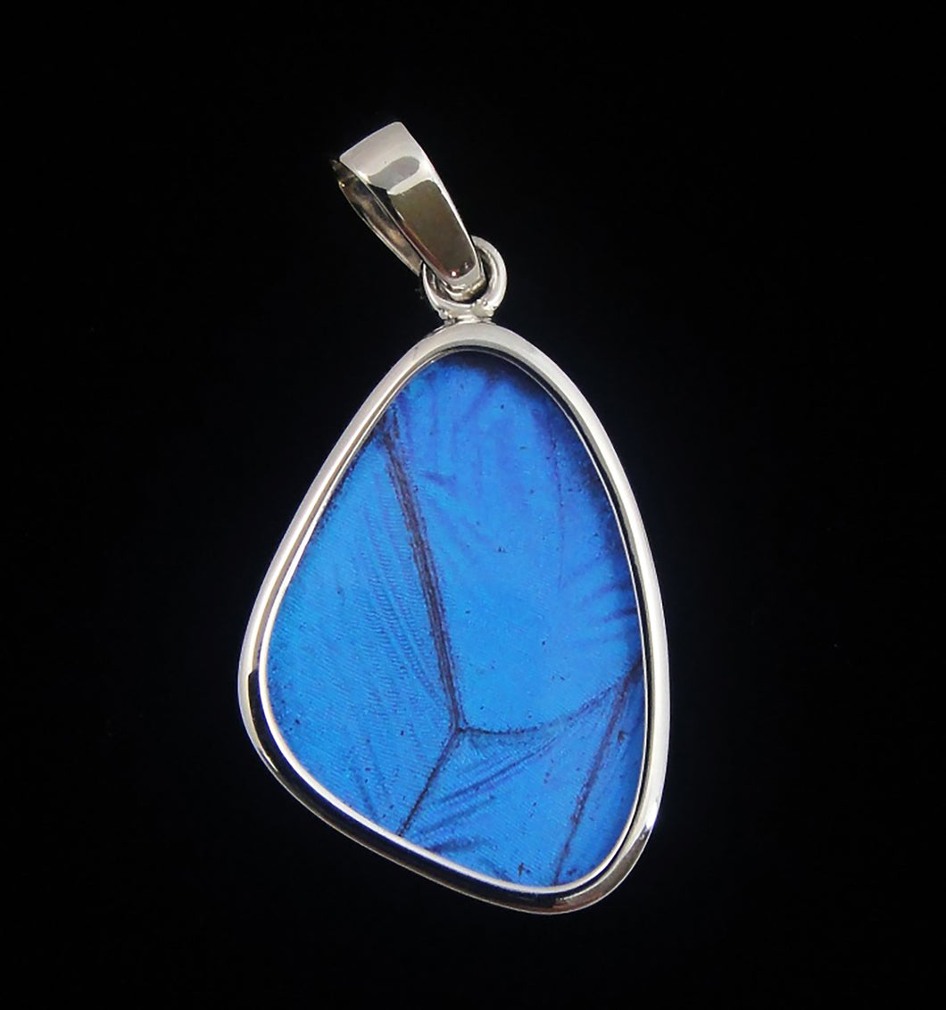 Blue Morpho Butterfly Wing Pendant Small Size