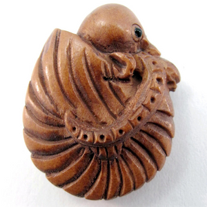 Ammonite Ojime Bead