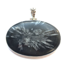 Load image into Gallery viewer, Chrysanthemum Stone Pendant in Silver Oval Frame