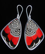 Load image into Gallery viewer, Butterfly Wing Earrings Cramers 88 Butterfly Earrings