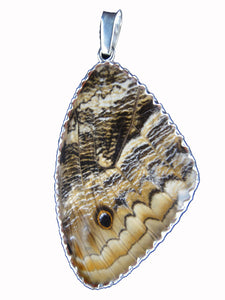 Butterfly Wing Pendant Cramers 88 Butterfly Size XL